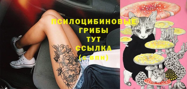 ПСИЛОЦИБИНОВЫЕ ГРИБЫ Баксан