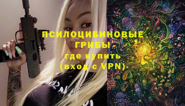 ПСИЛОЦИБИНОВЫЕ ГРИБЫ Баксан