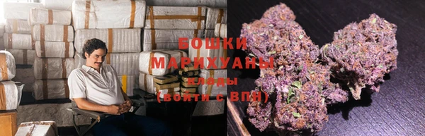 ПСИЛОЦИБИНОВЫЕ ГРИБЫ Баксан