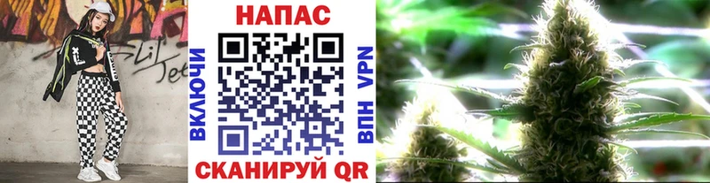 Бошки марихуана ГИДРОПОН  наркошоп  Цимлянск 